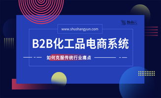 化工行業b2b網站,未來幾年發展重點