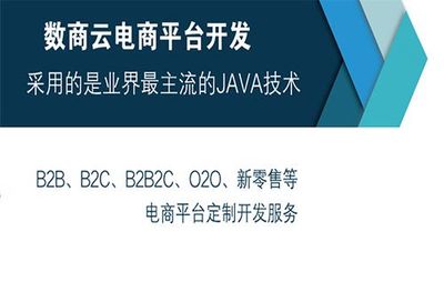 B2B2C多商戶系統(tǒng)搭建公司哪家靠譜