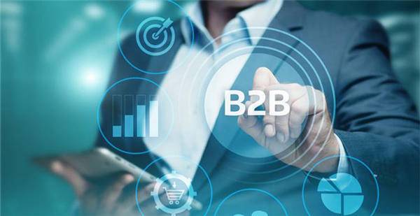 b2b電商系統(tǒng)開(kāi)發(fā)模式分類
